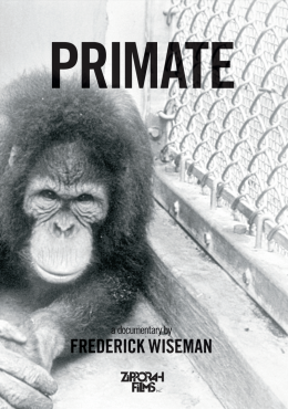 Primate