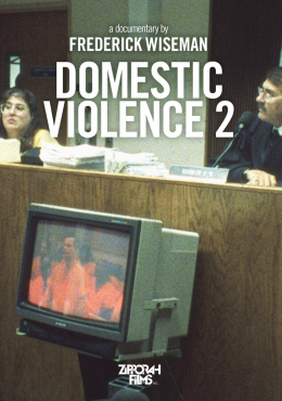 Domestic Violence 2