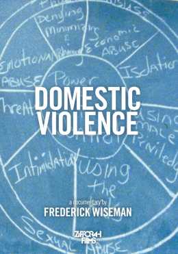 Domestic Violence